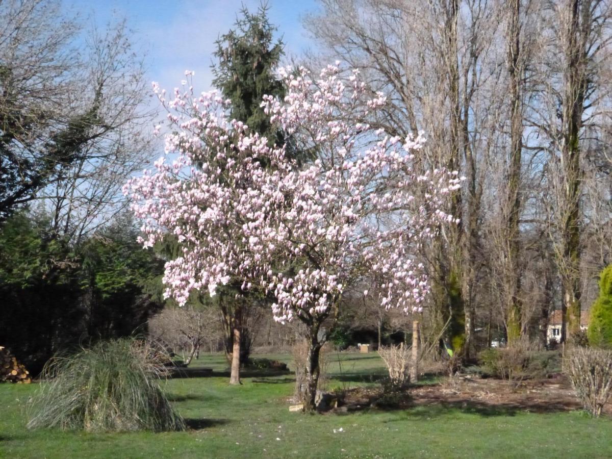La Maison Des Fleurs Montembœuf 外观 照片